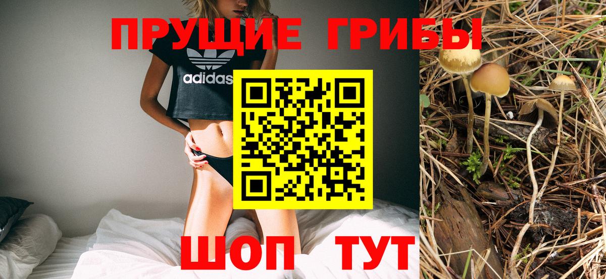 Галлюциногенные грибы Psilocybe  Вход с VPN  наркошоп  Магнитогорск 